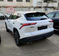 جیتۆر داشينگ